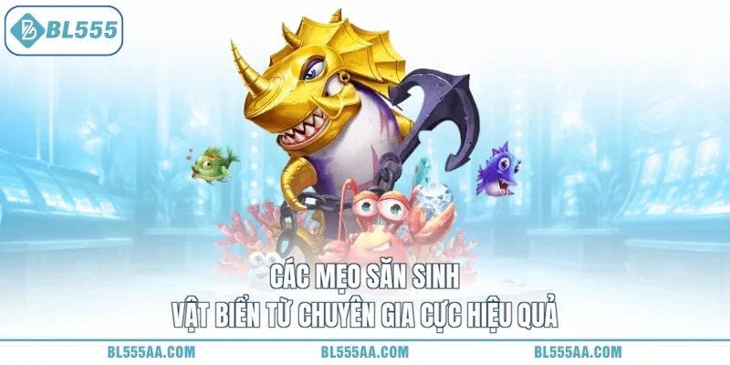 Các mẹo săn sinh vật biển từ chuyên gia cực hiệu quả