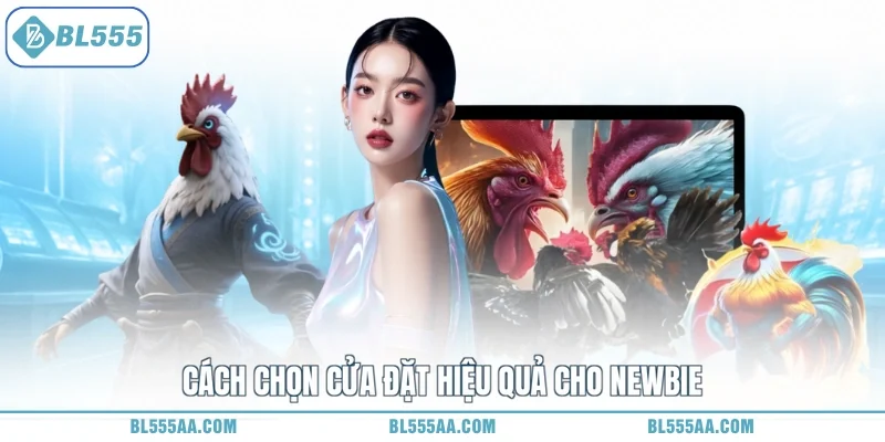 Cách chọn cửa đặt hiệu quả cho newbie