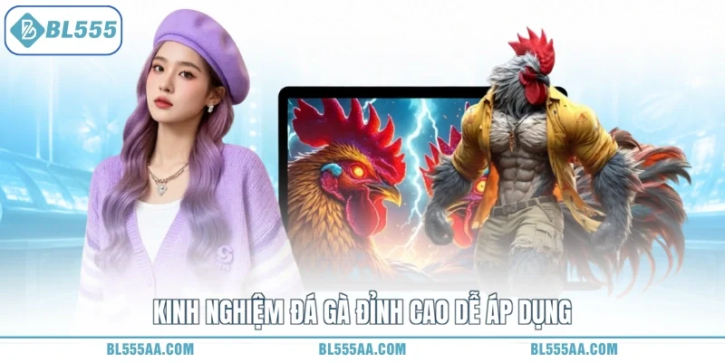 Kinh Nghiệm Đá Gà – Săn Quà Thả Ga, Rinh Tiền Tỷ Ra! 1 Kinh nghiệm đá gà đỉnh cao dễ áp dụng