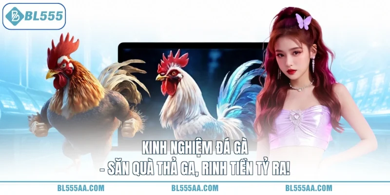 Kinh Nghiệm Đá Gà – Săn Quà Thả Ga, Rinh Tiền Tỷ Ra!