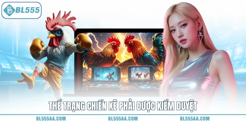Thể trạng chiến kê phải được kiểm duyệt
